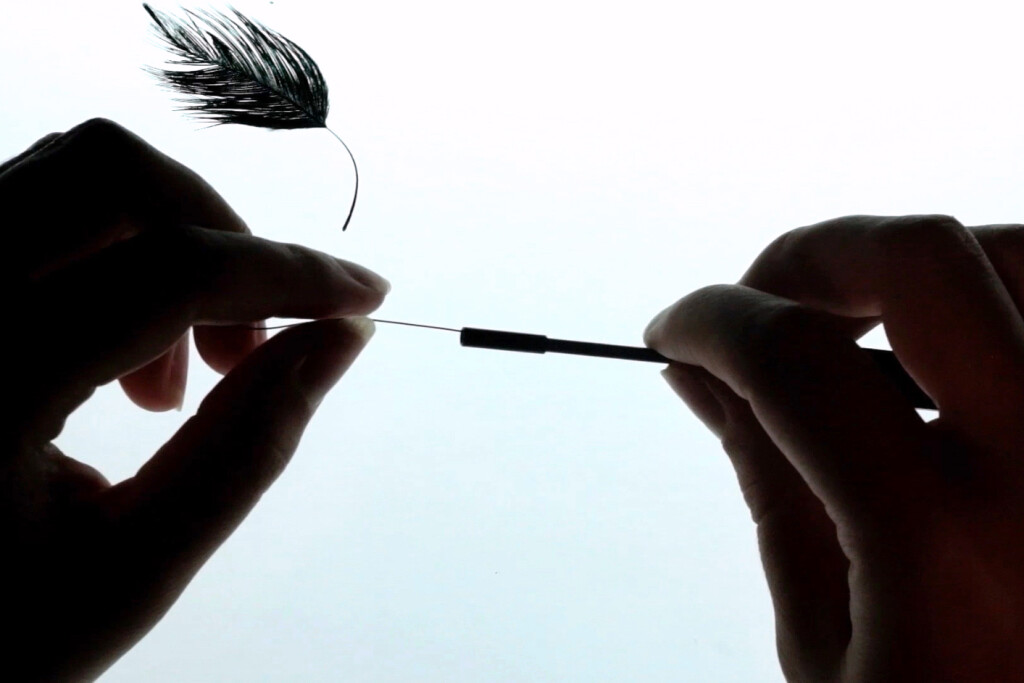 Detail Stymphalian Birds processes